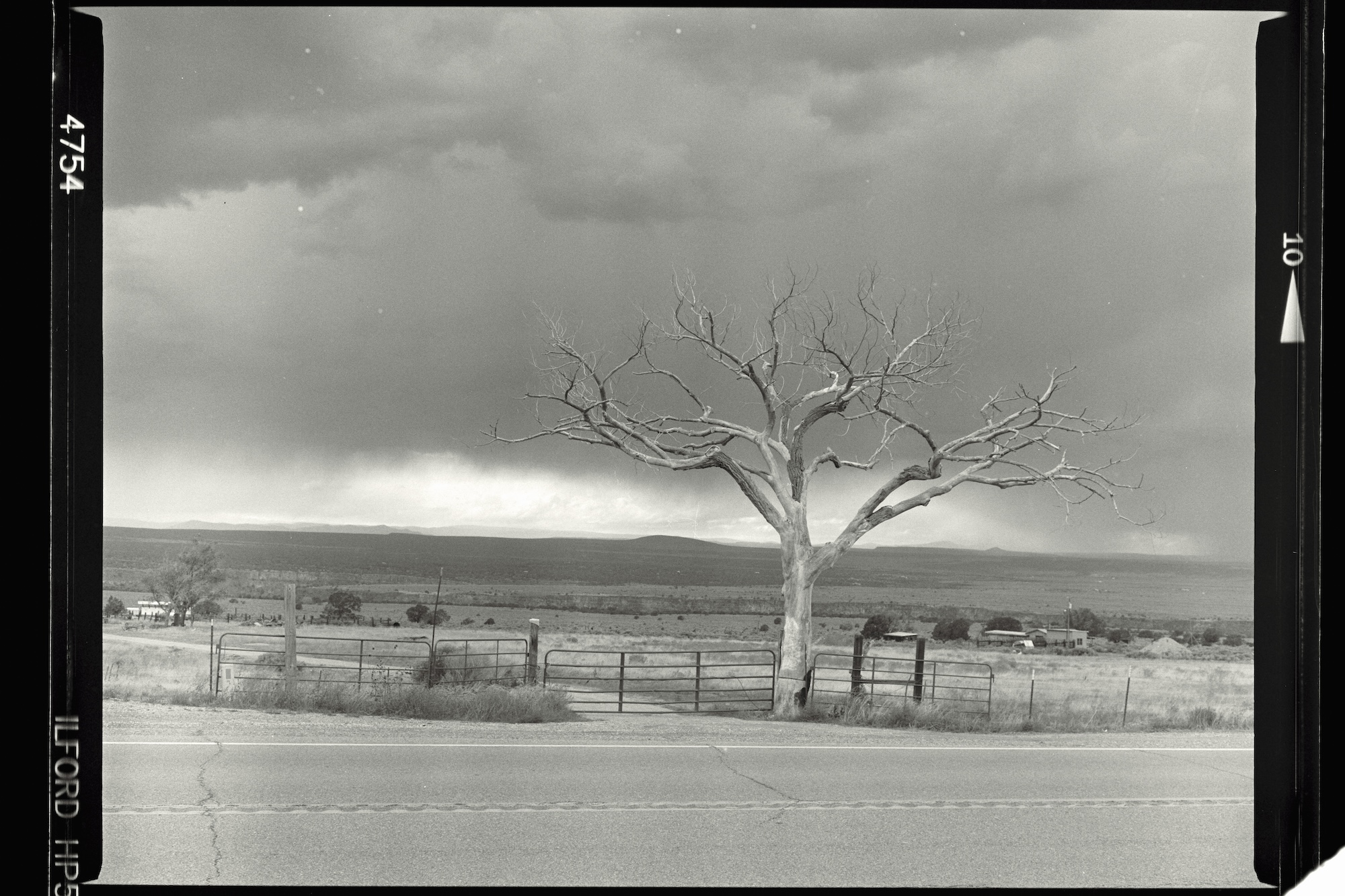Taos Society of Artists Group Photo